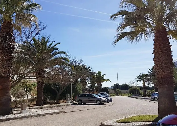 Charming At Meia #1866